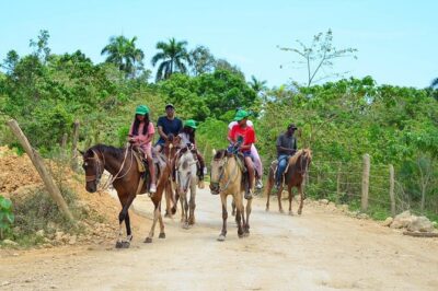 2-hour sunset horseback ride from Punta Cana - The 2-Hour Route: From Tropical Forest Trails to Beach-Edge Views