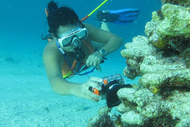 3 ADVENTURES: Sailing Catamaran Cruise - Hooka Diving - Snorkeling - The Boat Experience: Open Bar, Music, and Actual Fun