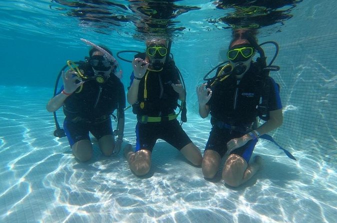 3 Days Open Water Diving Course in Punta Cana - Price and Value: Is $490 Worth It for 3 Days?
