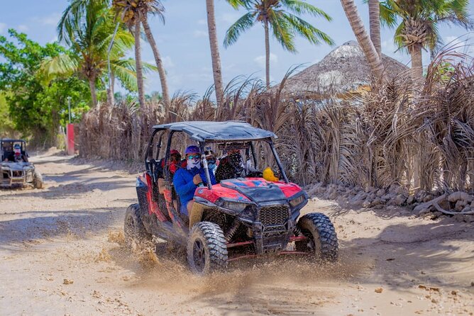 3-Hour Extreme Buggy Tour of Punta Cana - Stop Two: Taino Creek Cenote Swim With Crystal-Clear Water