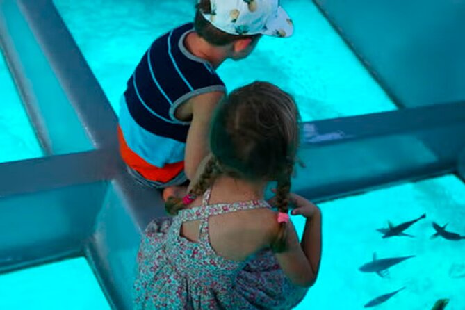 3 hrs Glass Boat Tour in Punta Cana - Key Highlights You Should Actually Care About