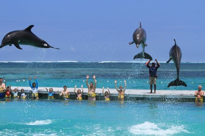 3 hrs Glass Boat Tour in Punta Cana - Stop 2 at Bavaro Beach: Snorkeling and Marine Life Viewing