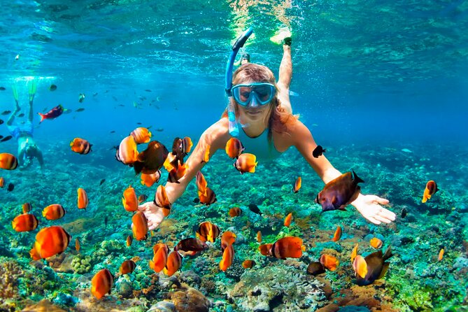 3 hrs Glass Boat Tour in Punta Cana - The Boat Experience: Smaller Glass Area Than You Might Expect