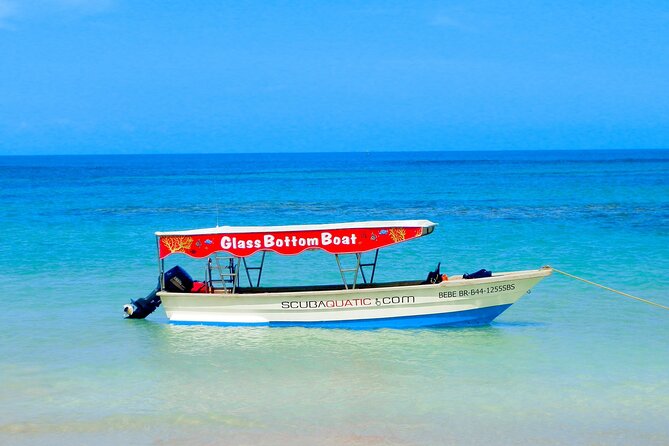 3 hrs Glass Boat Tour in Punta Cana - Group Size and Who This Tour Fits Best