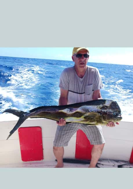 4 hour deep sea fishing experience from punta cana - Key Highlights Worth Knowing