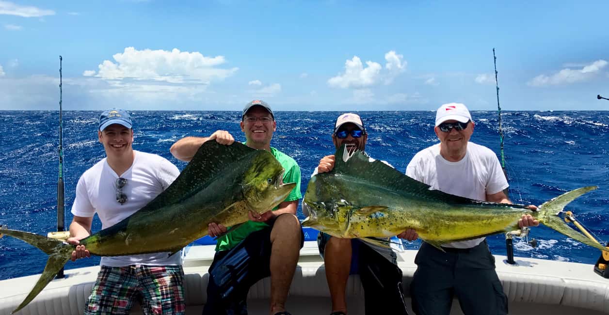 4 hour deep sea fishing experience from punta cana - Targets in the Caribbean: What You Can Catch (and What Counts as “In Season”)