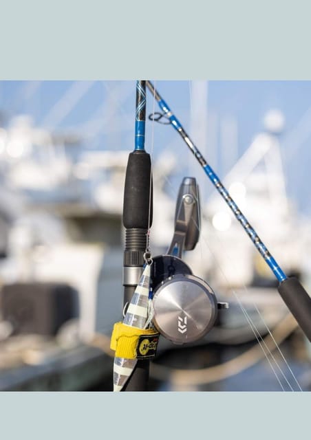 4 hour deep sea fishing experience from punta cana - Rough Water, Seasickness, and Safety Expectations
