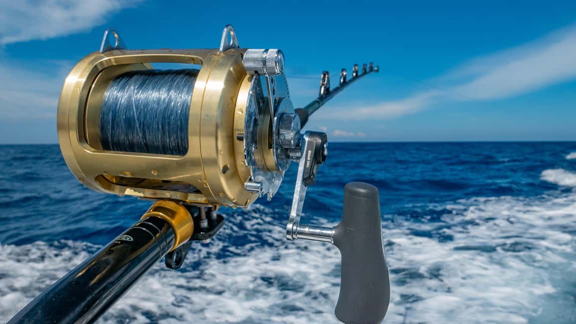 4 hour deep sea fishing experience from punta cana - How the Trolling Trip Really Feels Over 4 Hours