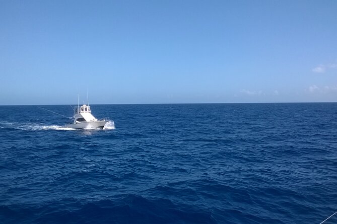 4 Hour Punta Cana Fishing Tour - Entering the open sea: what the 4-hour fishing really means