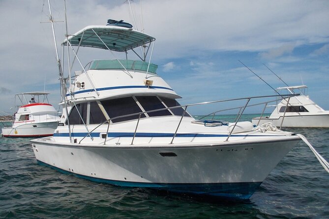 4 Hour Punta Cana Fishing Tour - Price and value: is $89 a good deal for Punta Cana fishing?