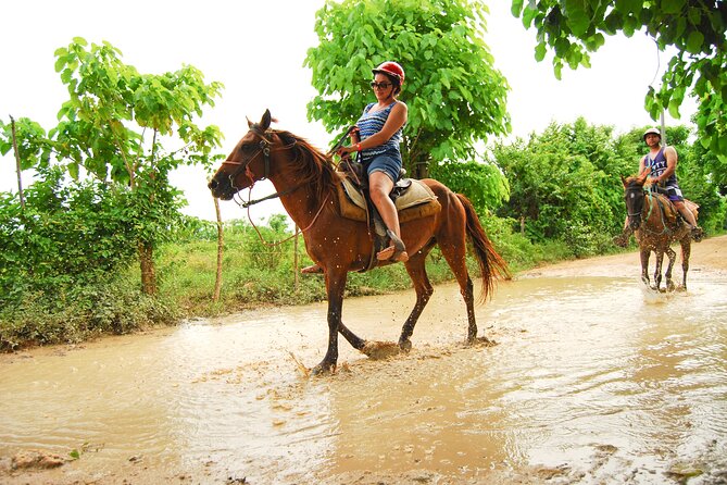 4 on 1 Tour. (Included Buggy, Zip lines, Horseback & Atabey Park) - Anamuya: zip lines on the Palo Amargo mountain and a safari-style ride