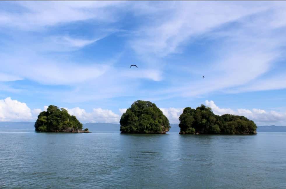 4in1: Los Haitises+ Kayaking+ Natural Pools+ Montana Redonda - Kayaking in Los Haitises: closer, calmer, and more physical