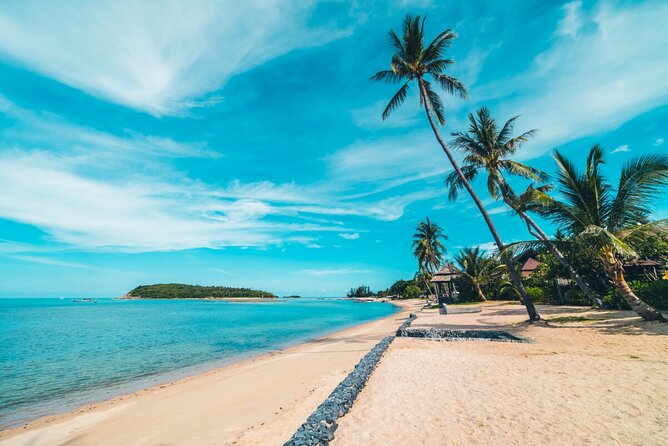 4x4 Adventure Tour, Mountains and Paradise Beaches with Food - Punta Cana 4x4 ATV: When the Day Mixes Adrenaline and Quiet
