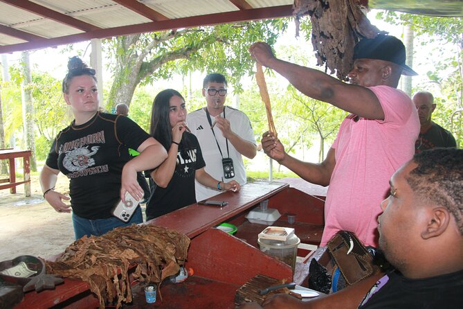 5 Tours of Jungle and Dominican Culture with Lunch - The Anamuya mountains zipline: four stations over 600 meters