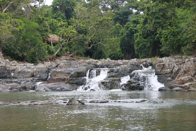 5 Tours of Jungle and Dominican Culture with Lunch - Off-road buggies to cenotes and Macao Beach: the adrenaline finale