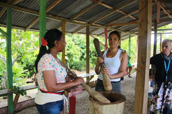 5 Tours of Jungle and Dominican Culture with Lunch - Price and value: is $159.98 a fair deal for this mix?