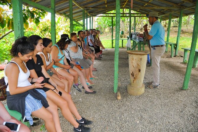 8-Hour Tour Enjoying the Dominican Culture Through the Countryside - Higüey City and Basilica of Our Lady of Altagracia: Culture With a Spiritual Center