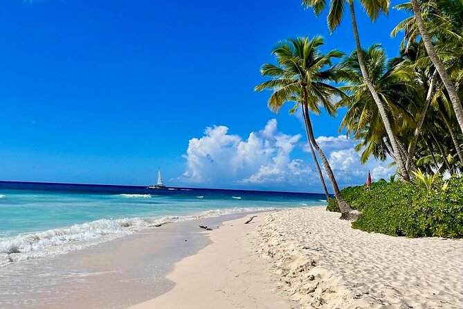 A Magical Day on Saona Island - Key highlights at a glance