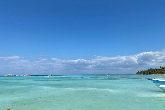 A Magical Day on Saona Island - Isla Saona beach time: where the day slows down