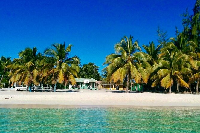 A Magical Day on Saona Island - The return ride by catamaran: music, dancing, and good vibes