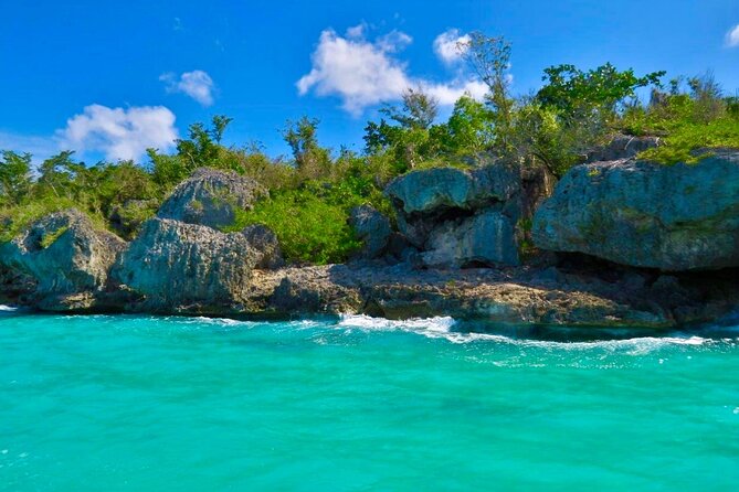 A Magical Day on Saona Island - Private tour for your group: what that changes (and what it won’t)