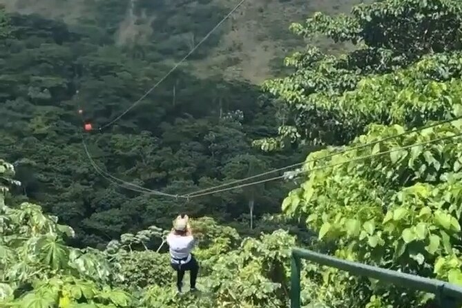 Adrenaline Total: Zipline Tour in Punta Cana - Punta Cana Culture Stops: Coffee and Cocoa the Ancestors Way