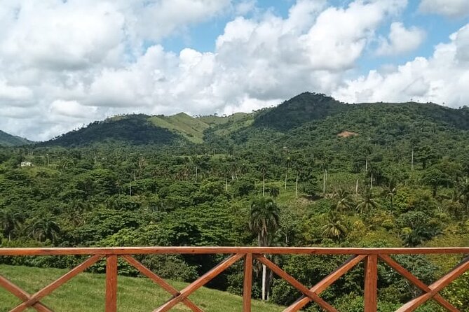 Adrenaline Total: Zipline Tour in Punta Cana - Who Should Book This Zipline Plus Culture Tour