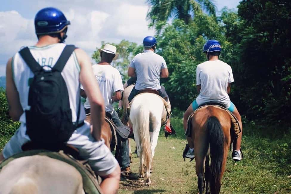All-Inclusive Day Trip from Punta Cana: DR Culture Immersion - Mamajuana, fruits, and handmade cigar culture