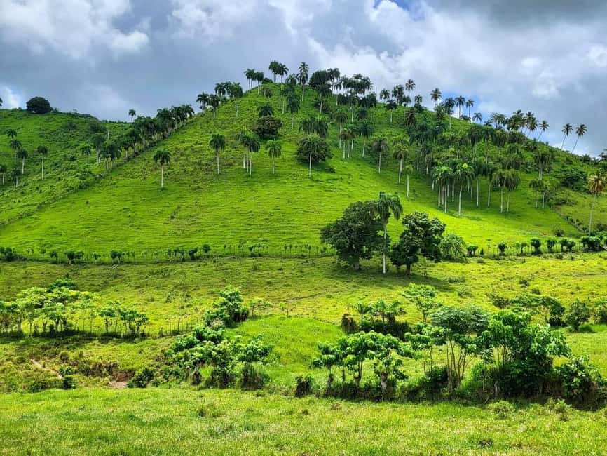 All-Inclusive Day Trip from Punta Cana: DR Culture Immersion - Rancho Valencia and the Anamuya River swim
