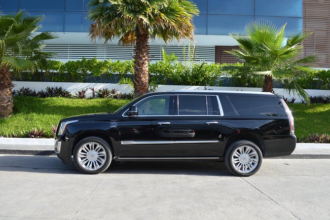 Arrival Luxury Transportation: Punta Cana International Airport to Hotels (1-5) - Key things to know before you land in Punta Cana