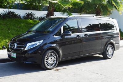 Arrival Luxury Transportation: Punta Cana International Airport to Hotels (1-5) - The driver meet-up: nameplate pickup and quick handoff