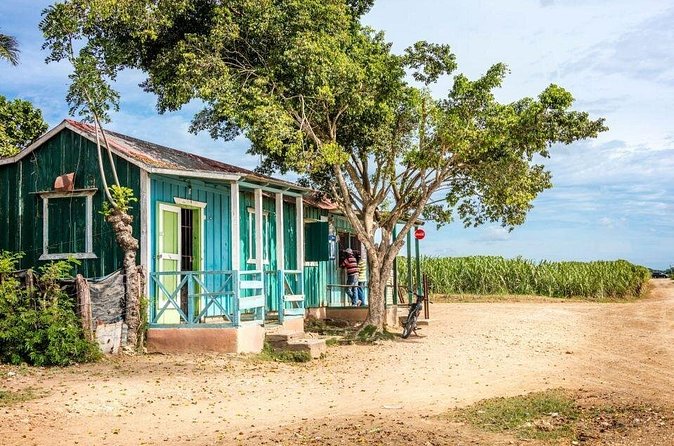 Arte, gastronomía, cultura bay Jhoraji : Higüey altos de chavón - Your guide: why Robinson, Darwin, and Tito make this feel personal