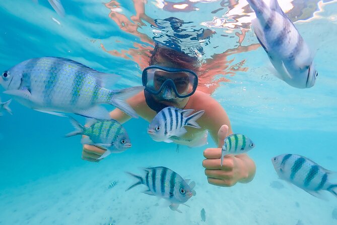 Bacardi Island Excursion with Catamaran, Beach and Lunch - 5 key things to know before you go