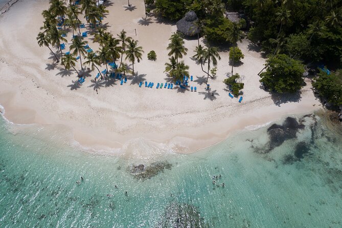 Bacardi Island Excursion with Catamaran, Beach and Lunch - The natural pool in Samaná Bay: marine life spotting in a short window