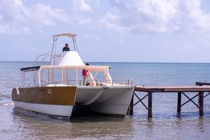 Bacardi Island Excursion with Catamaran, Beach and Lunch - Who this tour suits best in Punta Cana