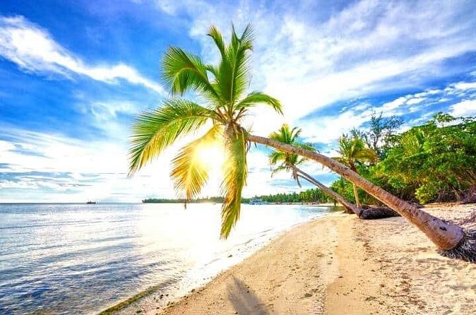 Barceló Bávaro Palace - Round Trip Shuttle - Punta Cana Airport - FAQ