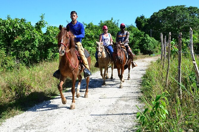 Bavaro Adventure Park Packages from Punta Cana - Lunch break and how to make it count