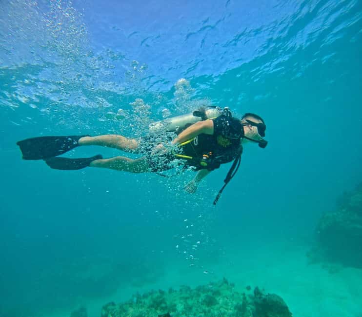 Bávaro: Scuba Diving Experience for Beginners - Key things to know before you go