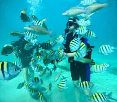 Bávaro: Scuba Diving Experience for Beginners - The 210-minute day plan: pickup, coaching, and time under water