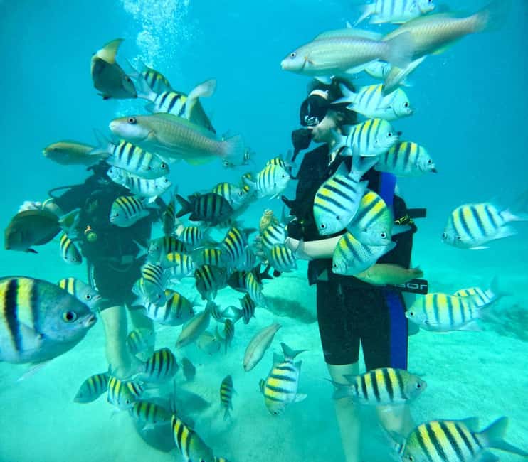 Bávaro: Scuba Diving Experience for Beginners - The 210-minute day plan: pickup, coaching, and time under water