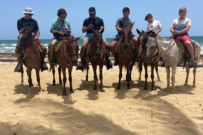 Beach Horseback Ride Tour at Punta Cana - Who this suits best (and who might want alternatives)