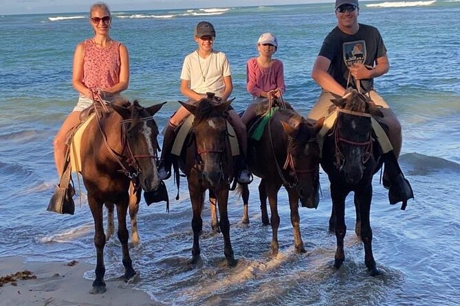 Beach Sunset Horseback Ride in Punta Cana - Price and value: what $55 buys you in Punta Cana