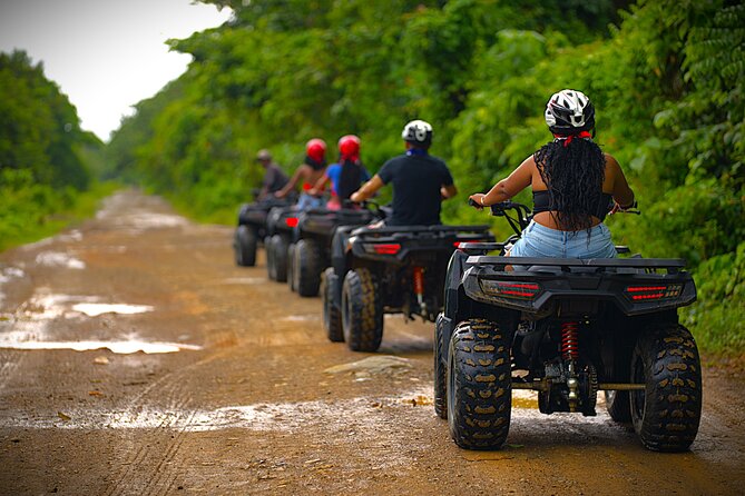 Best ATV adventure in Punta Cana - What You’ll Actually See: Cedro de Miches, Rice Fields, and Coconut Palms
