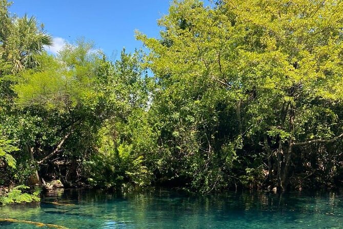 Blue Lagoon Tour with Catamaran Cruise and Snorkeling - Ojos Indígenas Cenote snorkeling with baby turtles