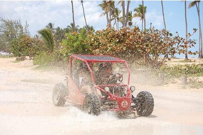 Boogies & Polaris - Explore Punta Cana in a Buggy - Price Value: Is $89 Per Group Worth It?