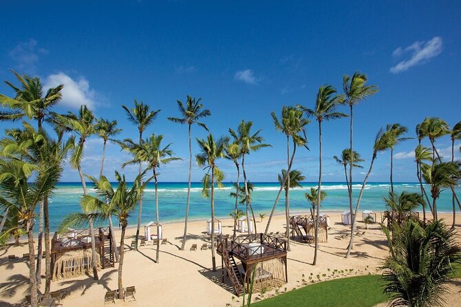 Breathless Punta Cana Resort & Spa - Round Trip Shuttle - Punta Cana Airport - What the Pickup Experience Looks Like at Arrival