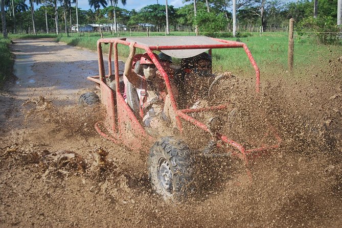 Buggies Experience From Punta Cana - Key Points You’ll Care About