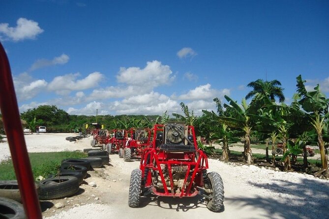 Buggies Half Day Experience and Cenote - H2: Transfers, timing, and how the day stays manageable