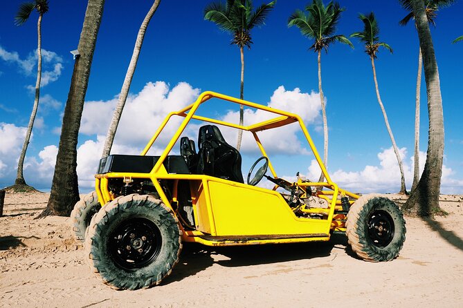 Buggy Adventure: Macao Beach & Cenote Experience - Typical Dominican House + Organic Farm Tasting Stop