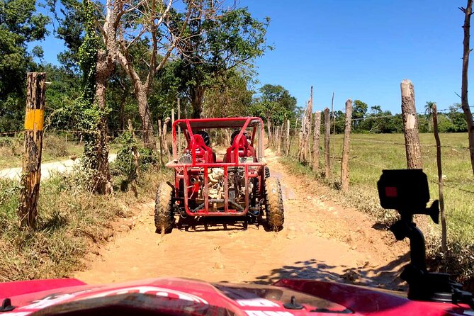 Buggy Adventure: Macao Beach & Cenote Experience - Pickup and Drop-Off: What “Smooth” Really Means Here